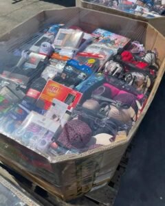 Bras and Panties Liquidation Pallet